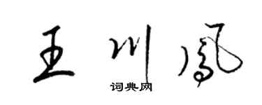 梁锦英王川凤草书个性签名怎么写