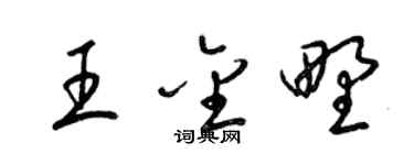 梁锦英王金野草书个性签名怎么写