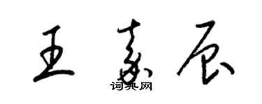 梁锦英王嘉辰草书个性签名怎么写
