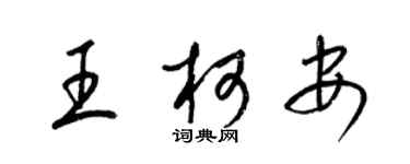 梁锦英王柯安草书个性签名怎么写