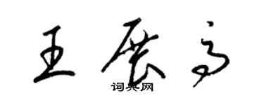 梁锦英王展高草书个性签名怎么写