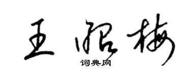 梁锦英王昭梅草书个性签名怎么写