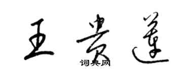 梁锦英王贵莲草书个性签名怎么写