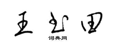 梁锦英王书田草书个性签名怎么写