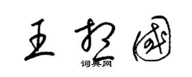 梁锦英王想国草书个性签名怎么写