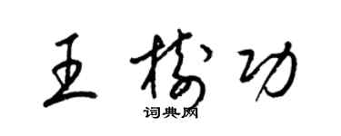梁锦英王树功草书个性签名怎么写