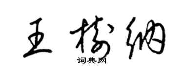 梁锦英王树纳草书个性签名怎么写