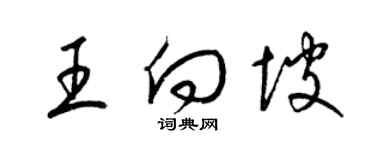 梁锦英王向坡草书个性签名怎么写