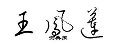 梁锦英王凤莲草书个性签名怎么写