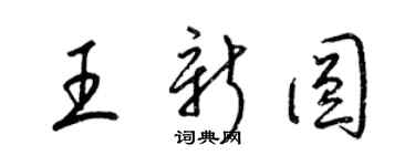 梁锦英王新圆草书个性签名怎么写