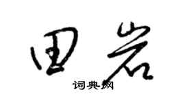 梁锦英田岩草书个性签名怎么写