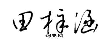 梁锦英田梓涵草书个性签名怎么写