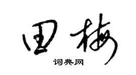 梁锦英田梅草书个性签名怎么写