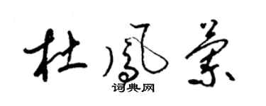 梁锦英杜凤兰草书个性签名怎么写