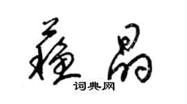 梁锦英苏晶草书个性签名怎么写