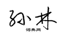 梁锦英孙林草书个性签名怎么写