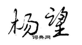 曾庆福杨望行书个性签名怎么写