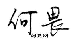 曾庆福何畏行书个性签名怎么写