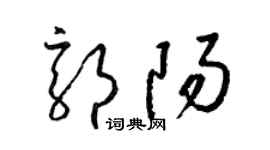 梁锦英郭阳草书个性签名怎么写
