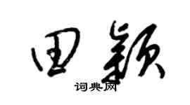 梁锦英田颖草书个性签名怎么写