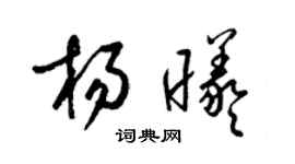 梁锦英杨曦草书个性签名怎么写