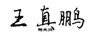 曾庆福王真鹏行书个性签名怎么写