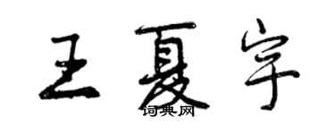 曾庆福王夏宇行书个性签名怎么写