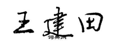 曾庆福王建田行书个性签名怎么写