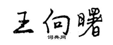 曾庆福王向曙行书个性签名怎么写