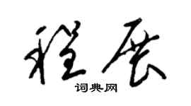 梁锦英程展草书个性签名怎么写