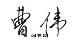 骆恒光曹伟行书个性签名怎么写