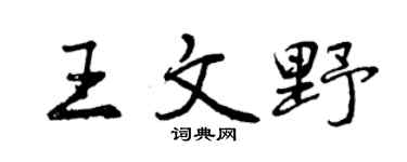 曾庆福王文野行书个性签名怎么写