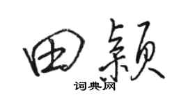 骆恒光田颖行书个性签名怎么写