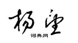 梁锦英杨望草书个性签名怎么写