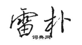 骆恒光雷朴行书个性签名怎么写