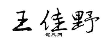 曾庆福王佳野行书个性签名怎么写