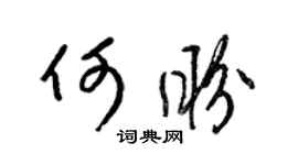 梁锦英何盼草书个性签名怎么写