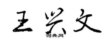 曾庆福王兴文行书个性签名怎么写