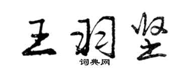 曾庆福王羽坚行书个性签名怎么写
