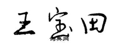 曾庆福王宝田行书个性签名怎么写