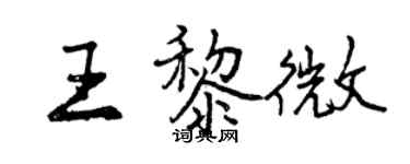 曾庆福王黎微行书个性签名怎么写