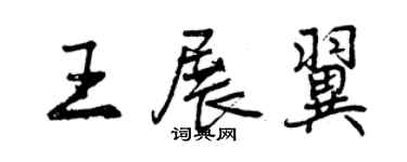 曾庆福王展翼行书个性签名怎么写