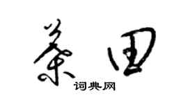 梁锦英叶田草书个性签名怎么写