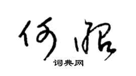 梁锦英何昭草书个性签名怎么写