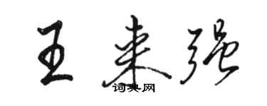 骆恒光王来强行书个性签名怎么写
