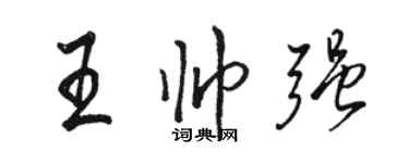 骆恒光王帅强行书个性签名怎么写