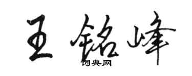 骆恒光王铭峰行书个性签名怎么写