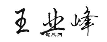 骆恒光王业峰行书个性签名怎么写