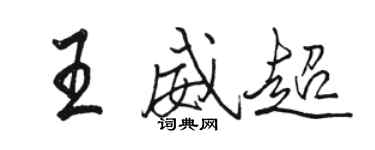骆恒光王威超行书个性签名怎么写