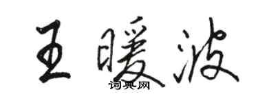 骆恒光王暖波行书个性签名怎么写